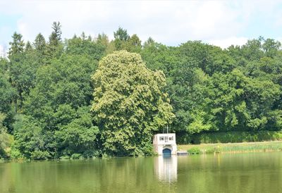 Scenic view of lake in forest against sky