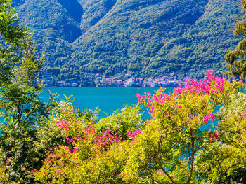 Scenic view of lake by mountain against trees