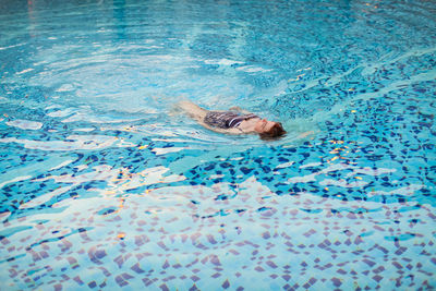 High angle view of turtle in swimming pool