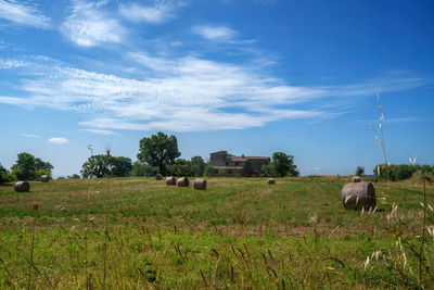 Horses grazing on field against sky