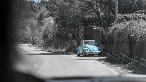 Car on road by trees