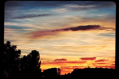 Silhouette of trees against dramatic sky