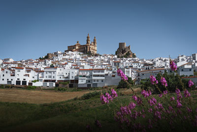 Buildings in town