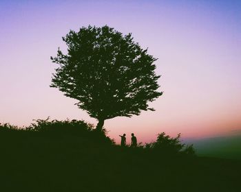 Silhouette tree on field against sky at sunset