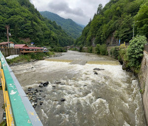 Scenic view of river amidst trees against sky