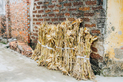 Graffiti on wall of building