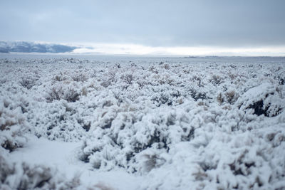 Scenic view of snow covered land against sky