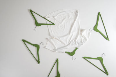 High angle view of plant against white background