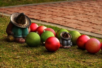 Close-up of fruits on grass