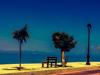 Palm trees against blue sky