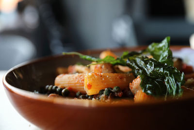 Close-up of meal served in plate