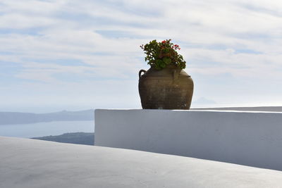 Close-up of potted plant by retaining wall against sky