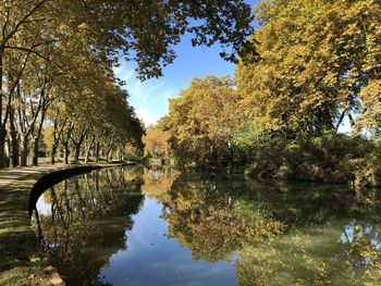 Reflection of trees in lake against sky