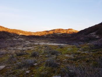 Scenic view of landscape against clear sky