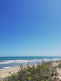 Scenic view of sea against clear blue sky