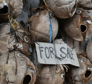 Close-up of old decorated coconut shells  hanging on wall