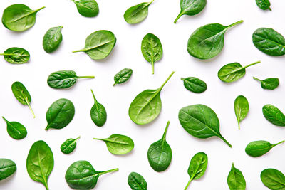 Close-up of food over white background