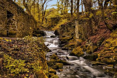 Stream flowing through rocks in forest