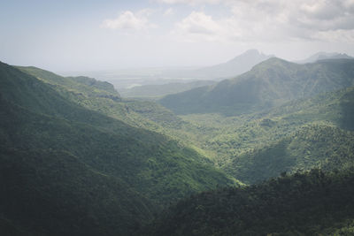 environment