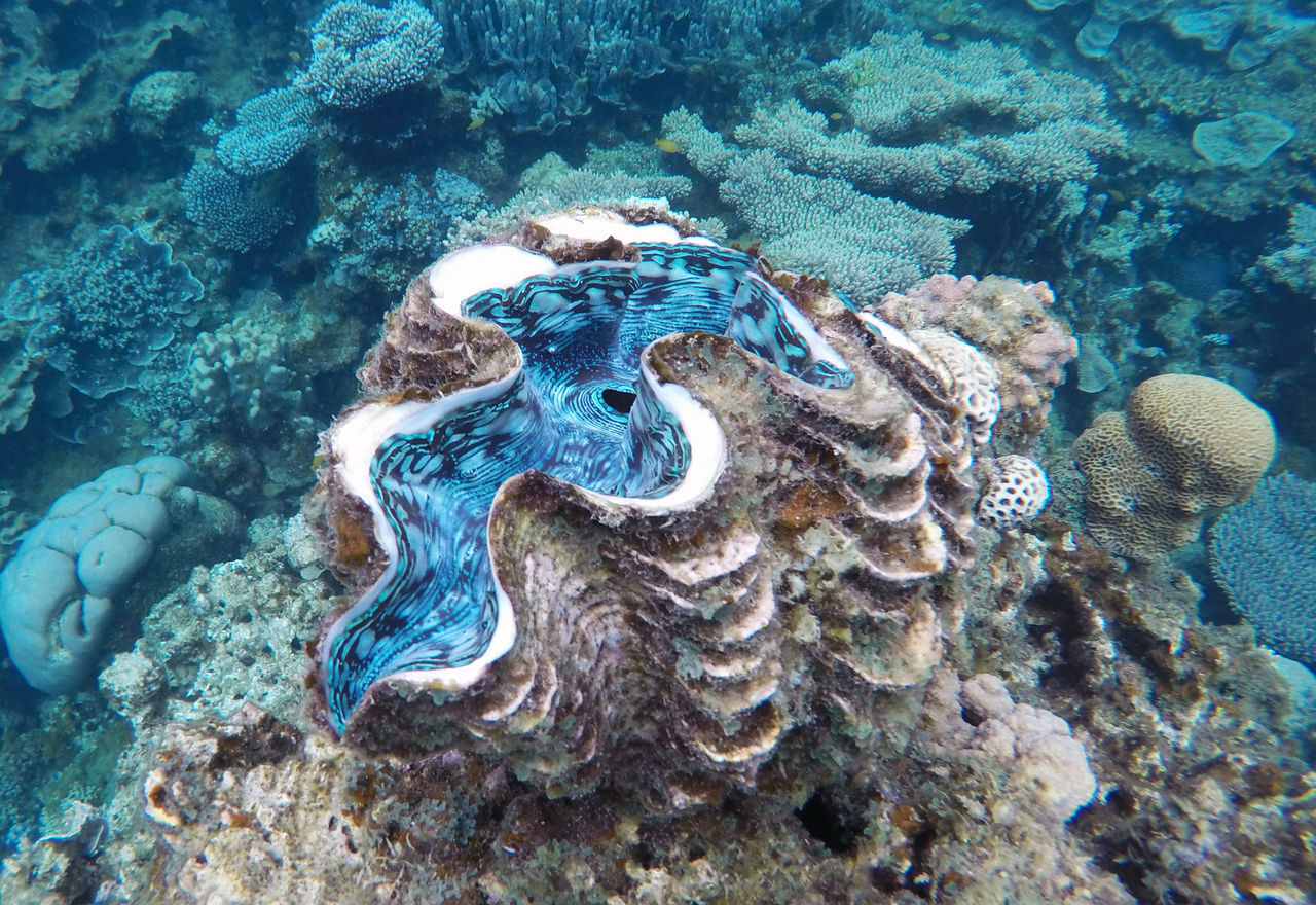 ROCKS ON SEA