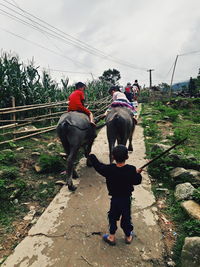 Full length rear view of boys riding bicycle against sky