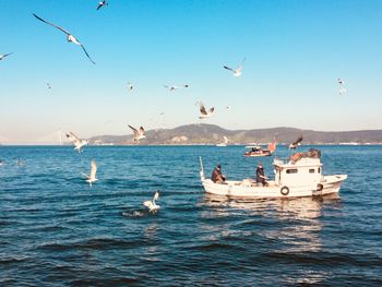 Seagulls flying over sea against clear sky