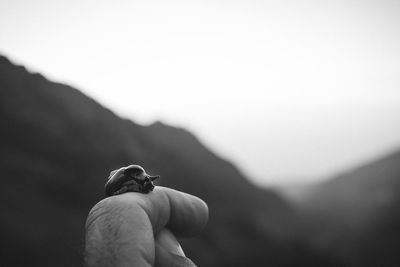 Cropped hand of person holding snail against sky