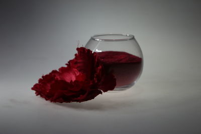Close-up of red flower in glass against white background
