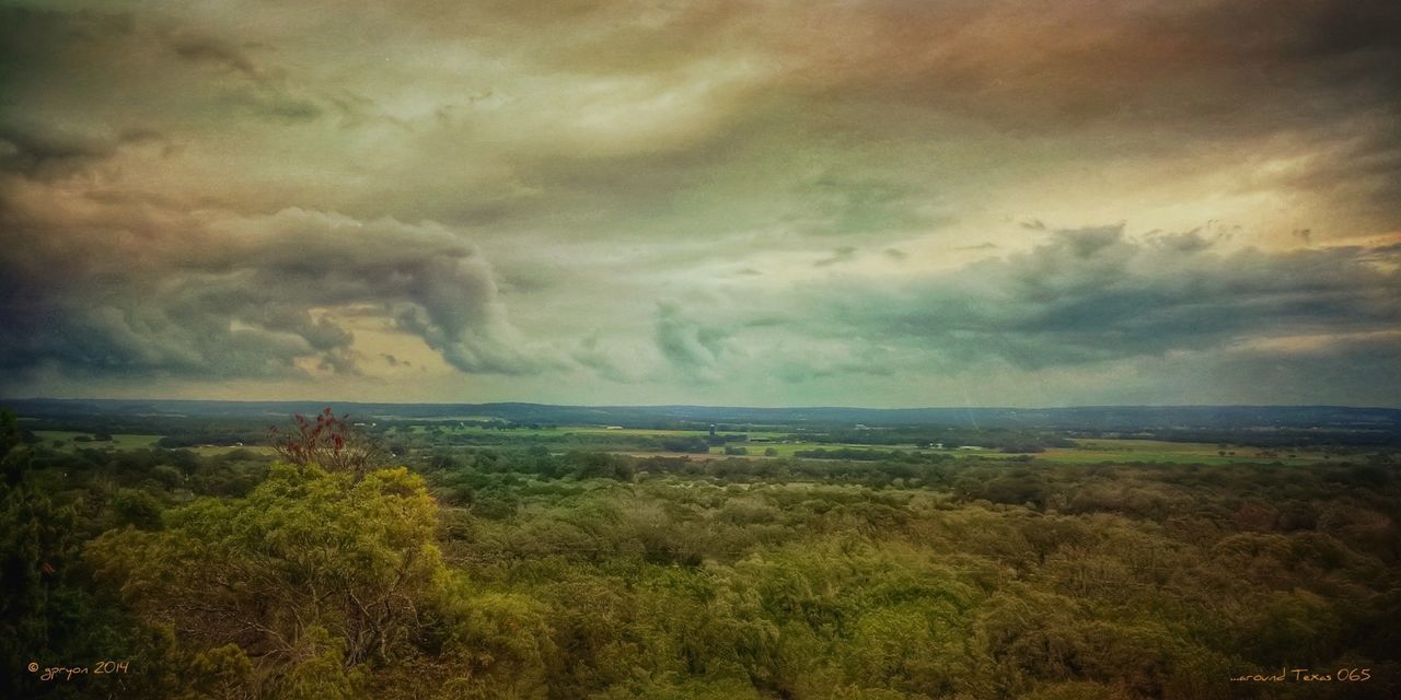 sky, tranquil scene, cloud - sky, scenics, sea, tranquility, cloudy, horizon over water, beauty in nature, water, nature, weather, cloud, overcast, idyllic, landscape, beach, storm cloud, outdoors, plant