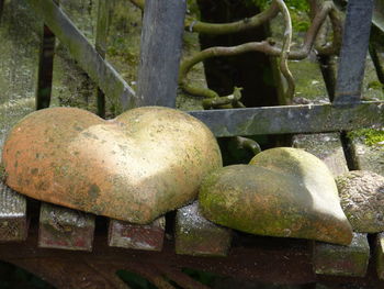 Close-up of rusty metal