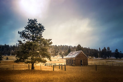 House and trees on field against sky