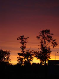 Silhouette trees against sky during sunset