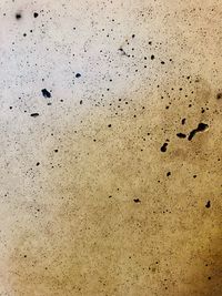 Full frame shot of weathered wall