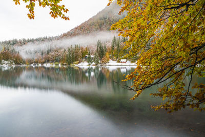 Scenic view of lake by trees during autumn