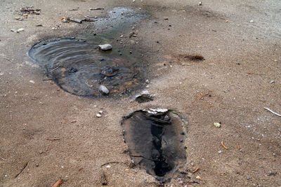 High angle view of footprints on wet sand