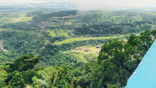 Aerial view of agricultural field