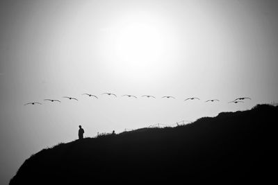 Low angle view of silhouette birds flying against clear sky