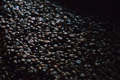 Close-up of roasted coffee beans