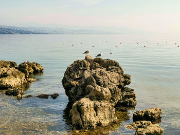 View of birds on rock in sea against sky