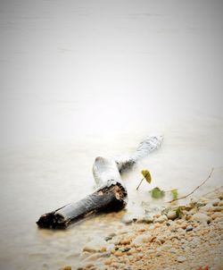 Water flowing in container