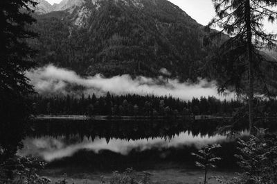 Scenic view of lake by trees against sky