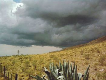 Scenic view of landscape against cloudy sky