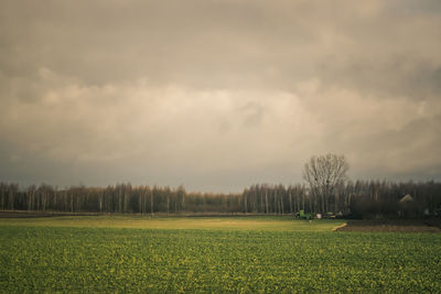 Scenic view of field against sky