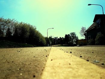 Close-up of horse by trees against sky