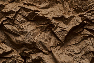 Full frame shot of dry leaves