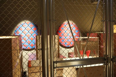 View of birds in cage