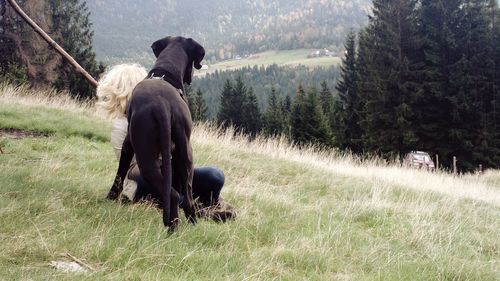 Woman with dog relaxing on grassy hill against trees