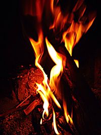 Close-up of bonfire at night