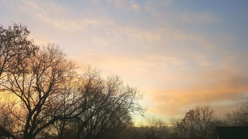 Low angle view of bare trees against sky at sunset