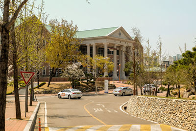 Cars on road by trees and buildings against sky